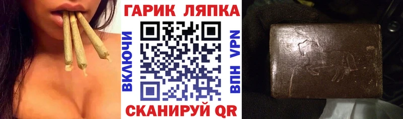 Купить где Оса ГАШ гарик