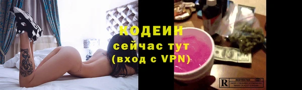 ешки Горняк
