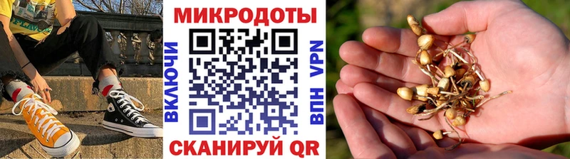 Купить Оса Псилоцибиновые грибы ЛСД