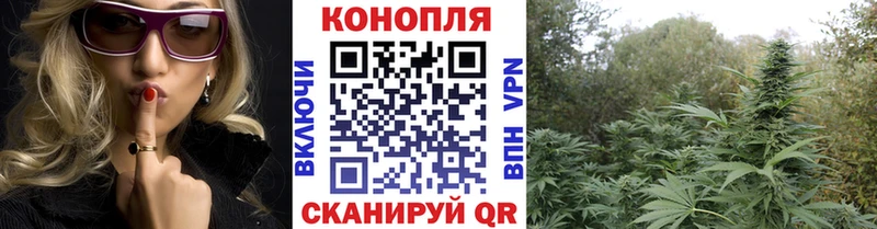 Марихуана OG Kush  Купить где  Оса 